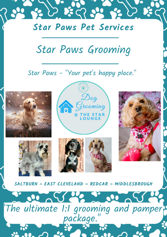 Dog Grooming